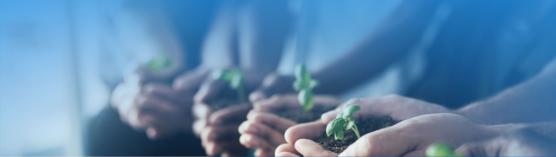 MG不朽情缘(中国区)官网首页